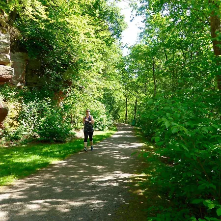Ferienhaus Eifelurlaub Seeblick #23969